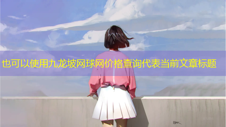 九龙坡网球网价格查询