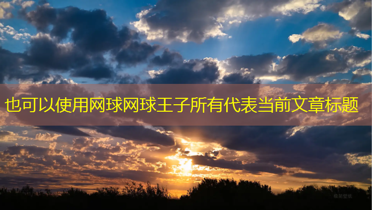 网球网球王子所有