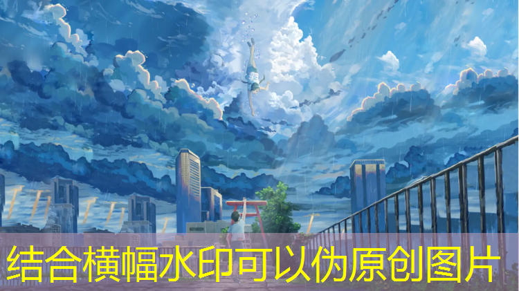 海棠网球网址