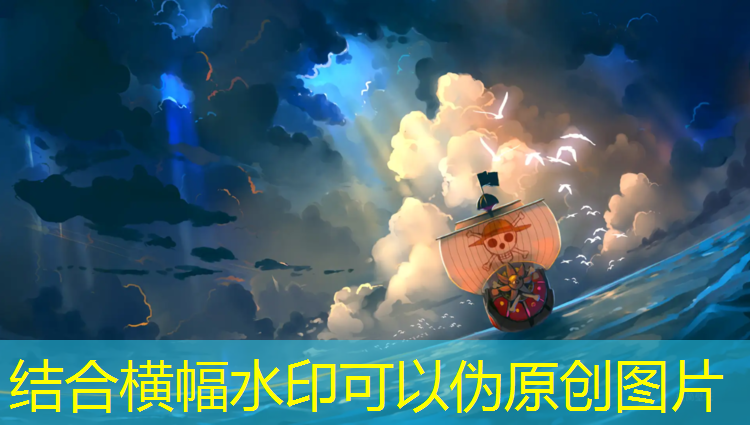穿跆拳道双护具玩耍
