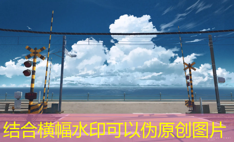 跆拳道老传统护具