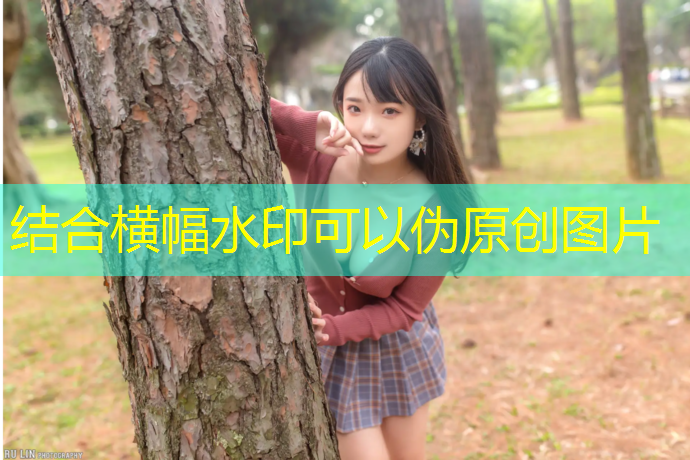 健身车和踏步机哪个减肥好