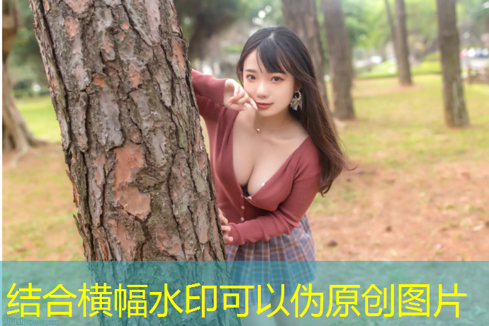 青少年网球网