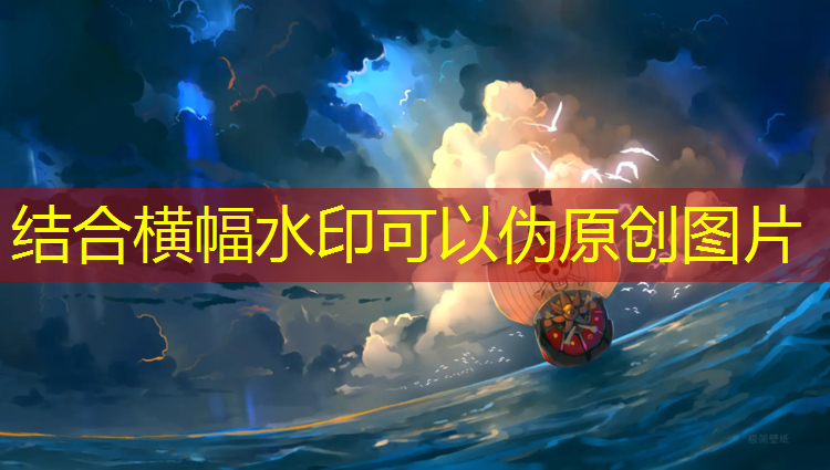 跆拳道护具的摆放位置图