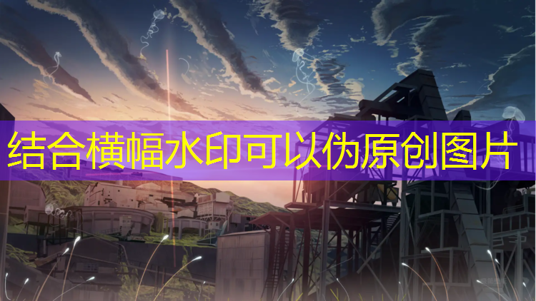 有机硅帆布体操垫