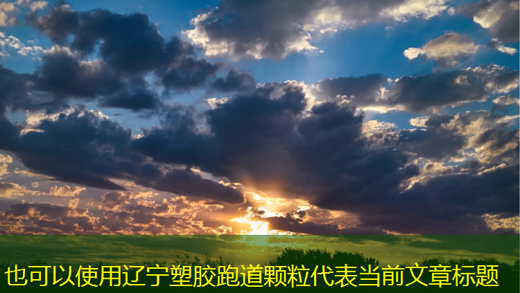 辽宁塑胶跑道颗粒