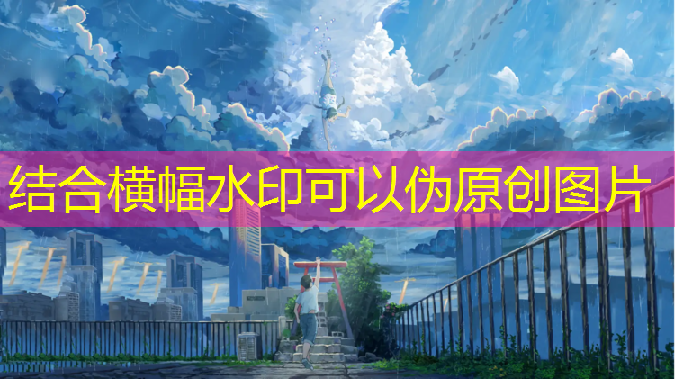 体操用球双人