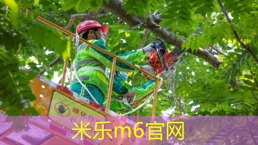 mile·米乐m6：网球拍内柄皮换哪种好