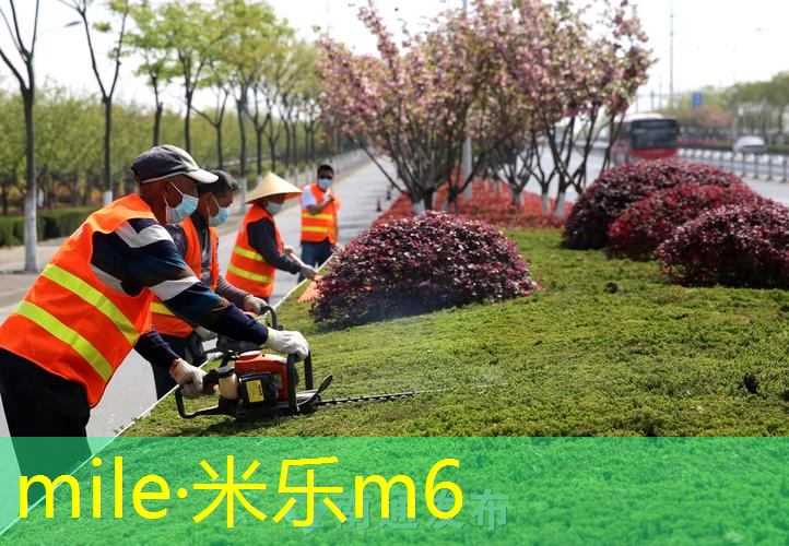 米乐m6官网登录入口：网球拍最佳磅数是什么意思