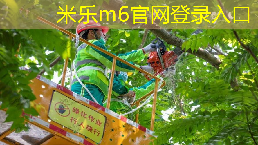 mile米乐m6官网：网球拍黑色的好看白色的好看