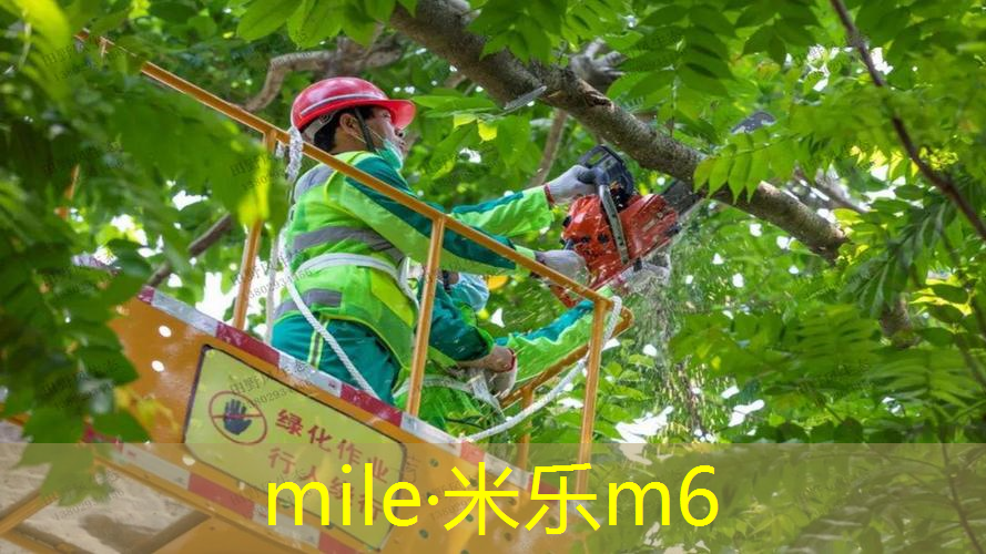 网球拍的硬度测评准吗_
