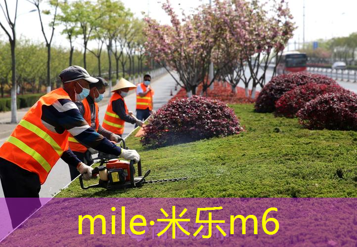 mile·米乐m6：南山区哪里可以拉网球拍