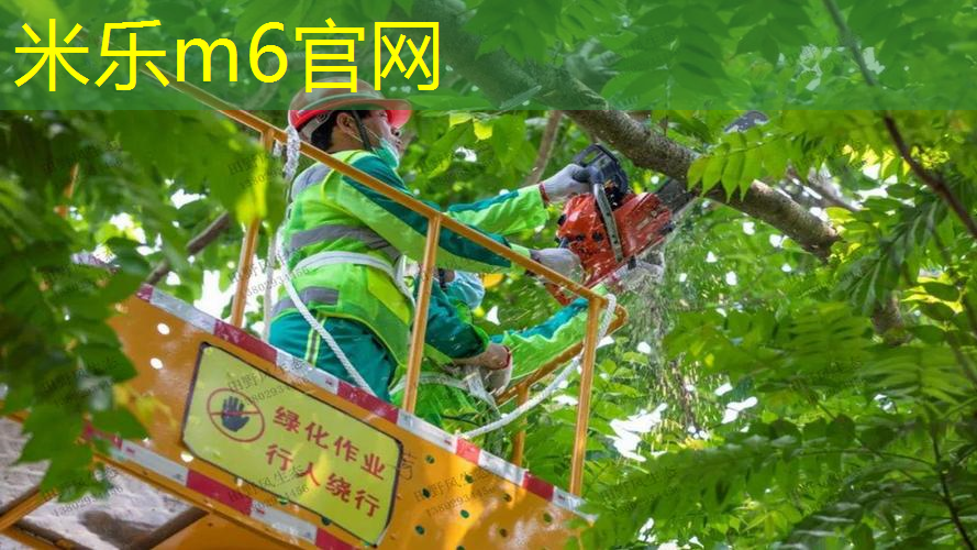 米乐：网球拍的串线磅数是多少