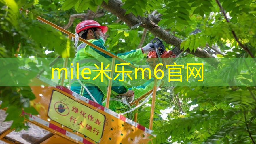 米乐：迪亚多纳网球拍价钱