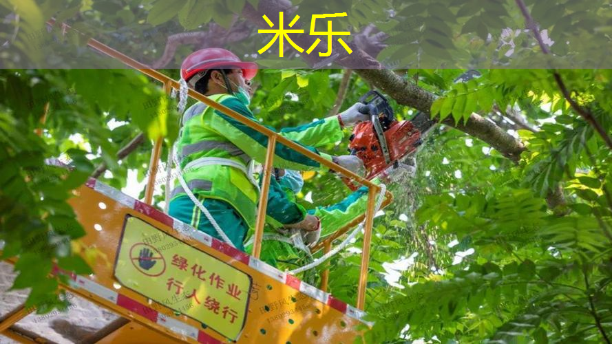 米乐：迪卡龙网球拍儿童23寸