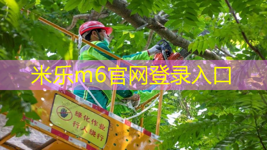 米乐：网球拍握拍方式和优缺点