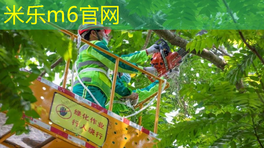 mile·米乐m6：带绳网球拍哪种好用点