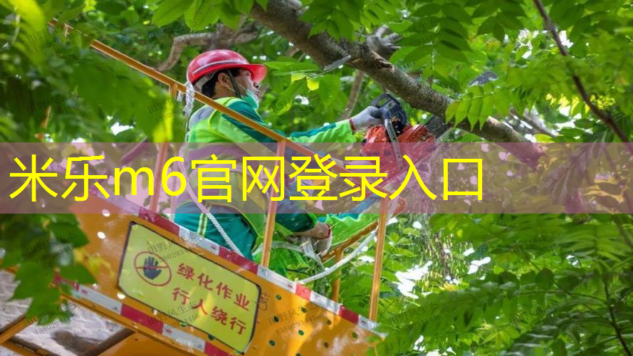 mile米乐m6官网：网球拍分哪几个部分