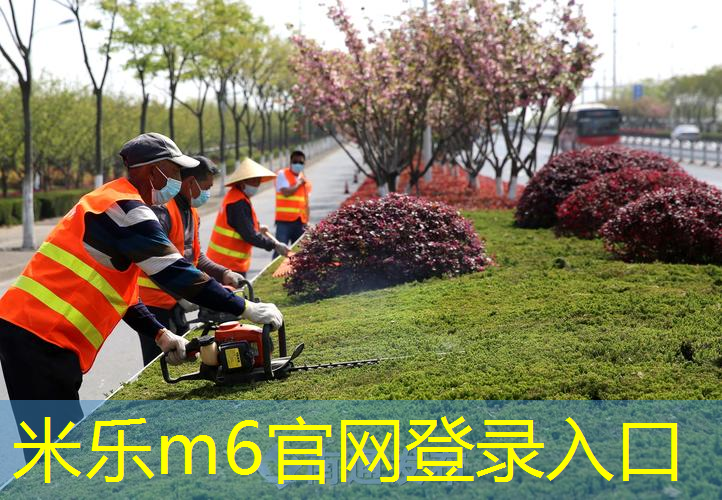 mile·米乐m6：波力网球拍630怎么样