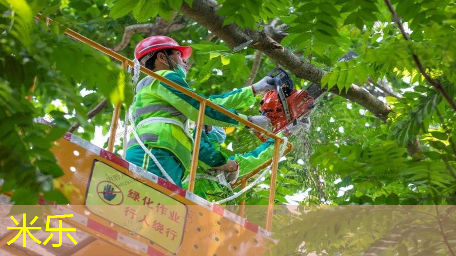 米乐m6官网：网球拍上的记录器