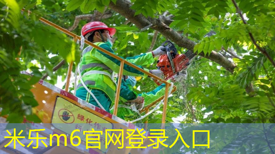 米乐m6官网登录入口：网球拍框保护怎么做
