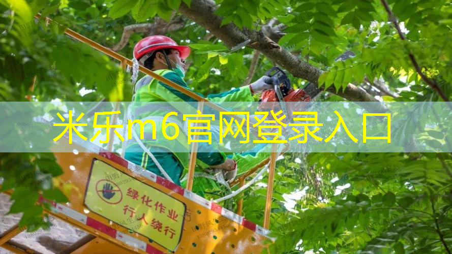 mile米乐m6官网：网球拍花纹手胶怎么贴