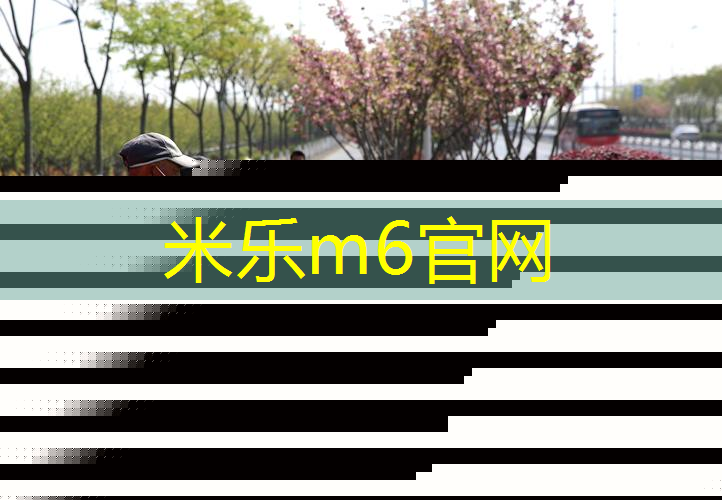 网球拍哪种最贵最好看的