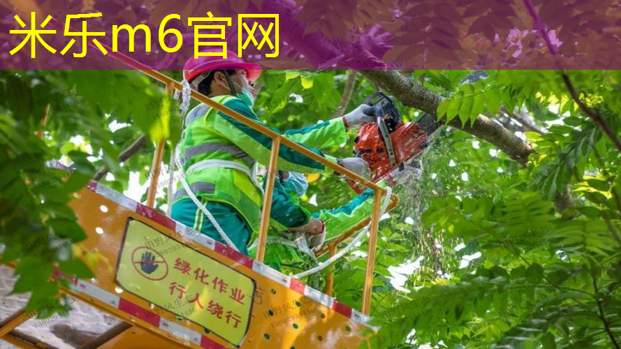 米乐m6官网：爆发型网球拍适合什么人