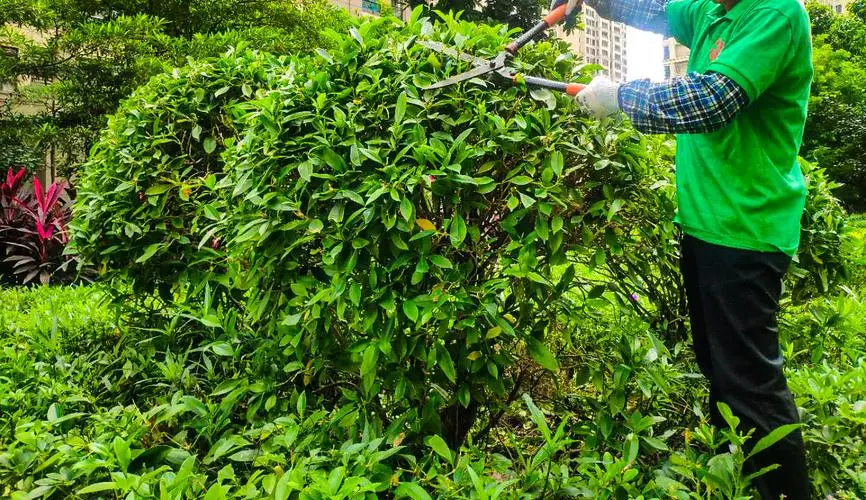 mile米乐m6官网：网球拍需要选好的吗为什么