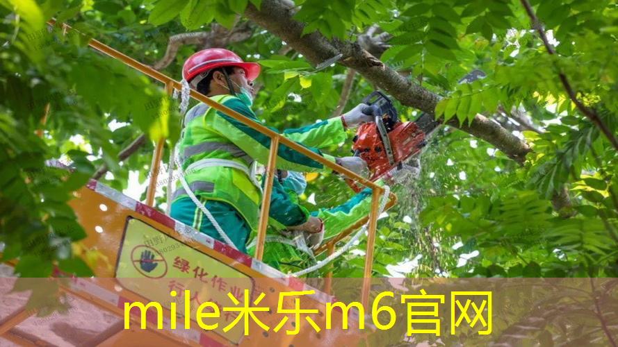 革新材料技术：你了解聚氨酯型塑胶跑道材料吗？