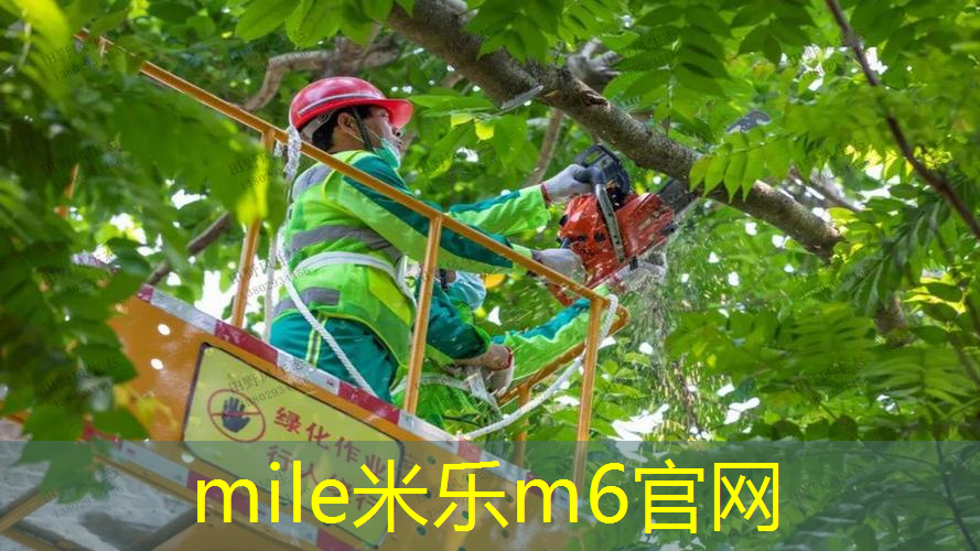 网球拍内柄皮换哪种好