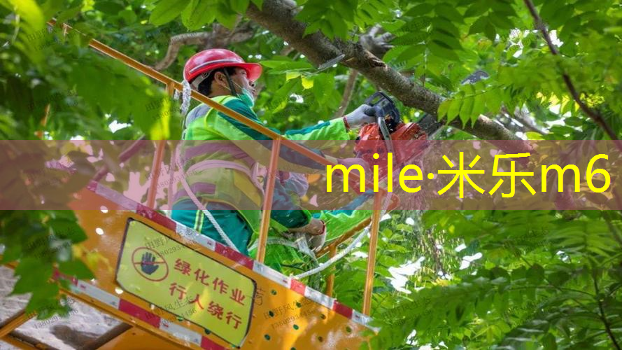 网球拍黑色的好看白色的好看