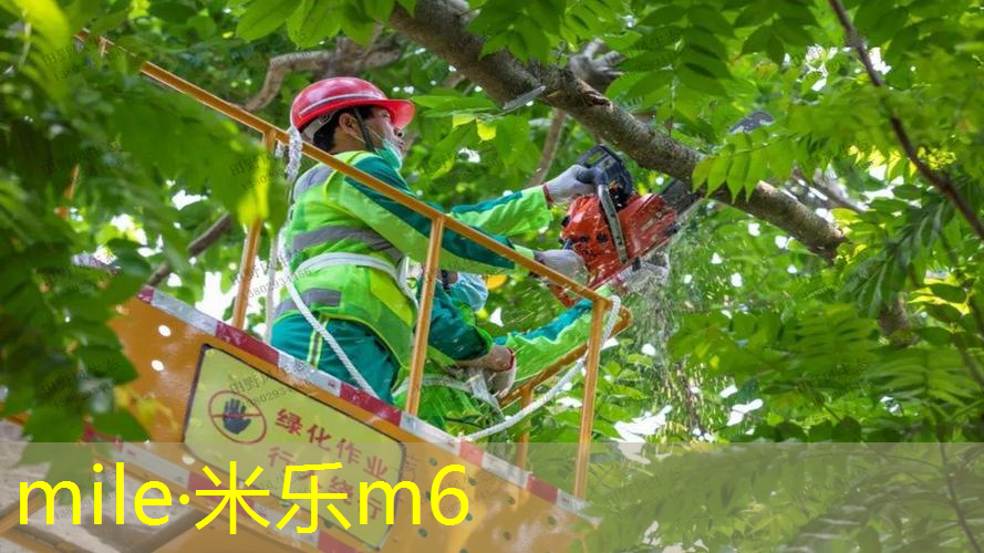 网球拍走线还能打吗_