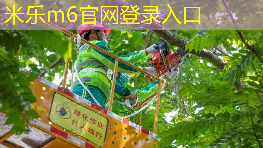 迪卡龙网球拍儿童23寸