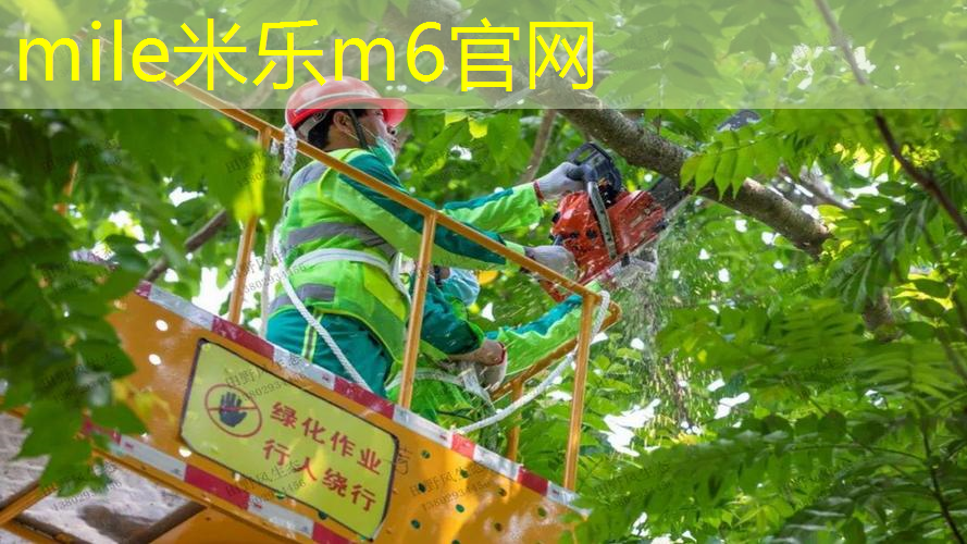 带绳网球拍哪种好用点