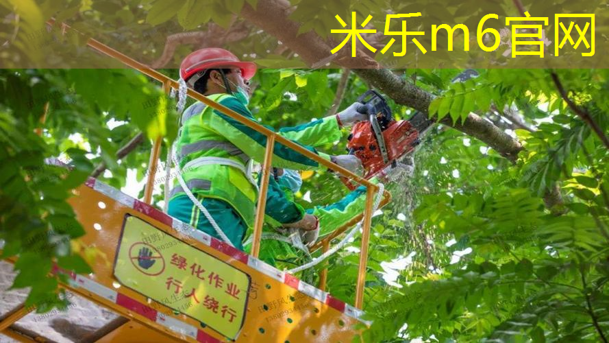 网球拍分哪几个部分