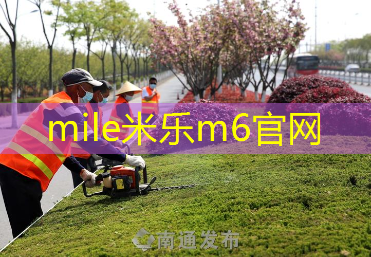 最适合打单反的网球拍