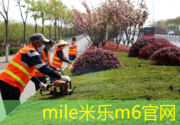 波力网球拍630怎么样