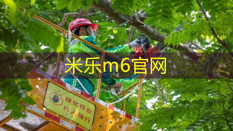 网球拍上的记录器