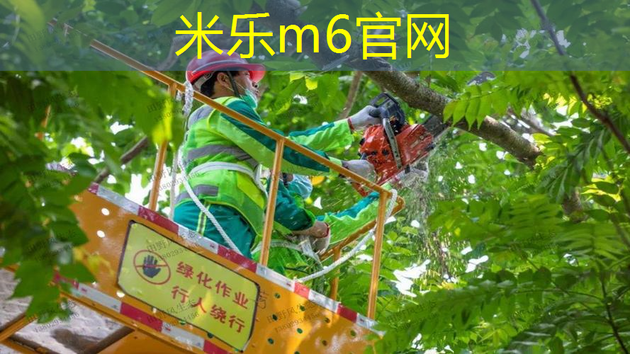 网球拍新手用什么材质的