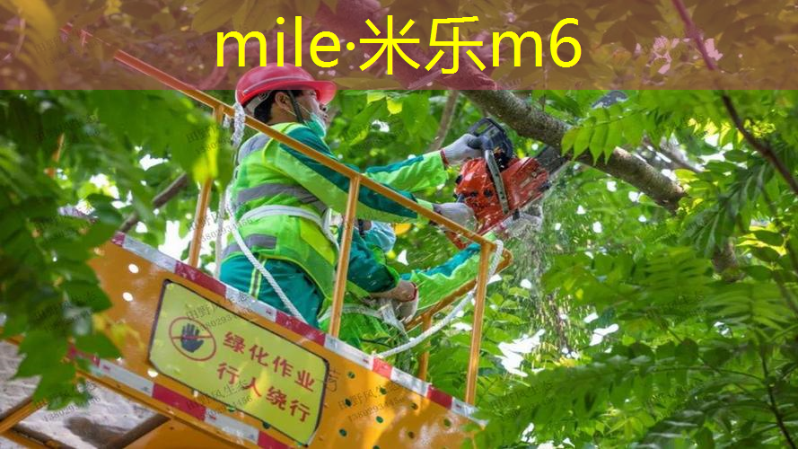 网球拍花纹手胶怎么贴