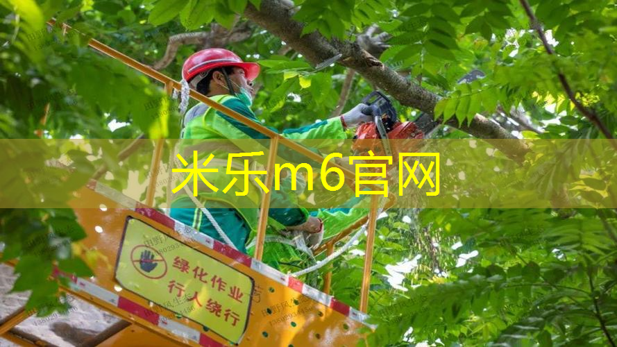 革新材料技术：你了解聚氨酯型塑胶跑道材料吗？