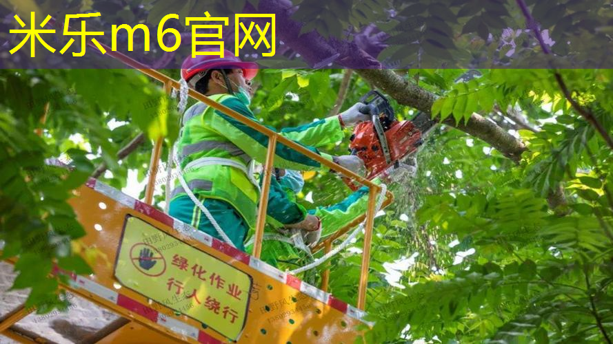 乒乓球台是健身器材吗